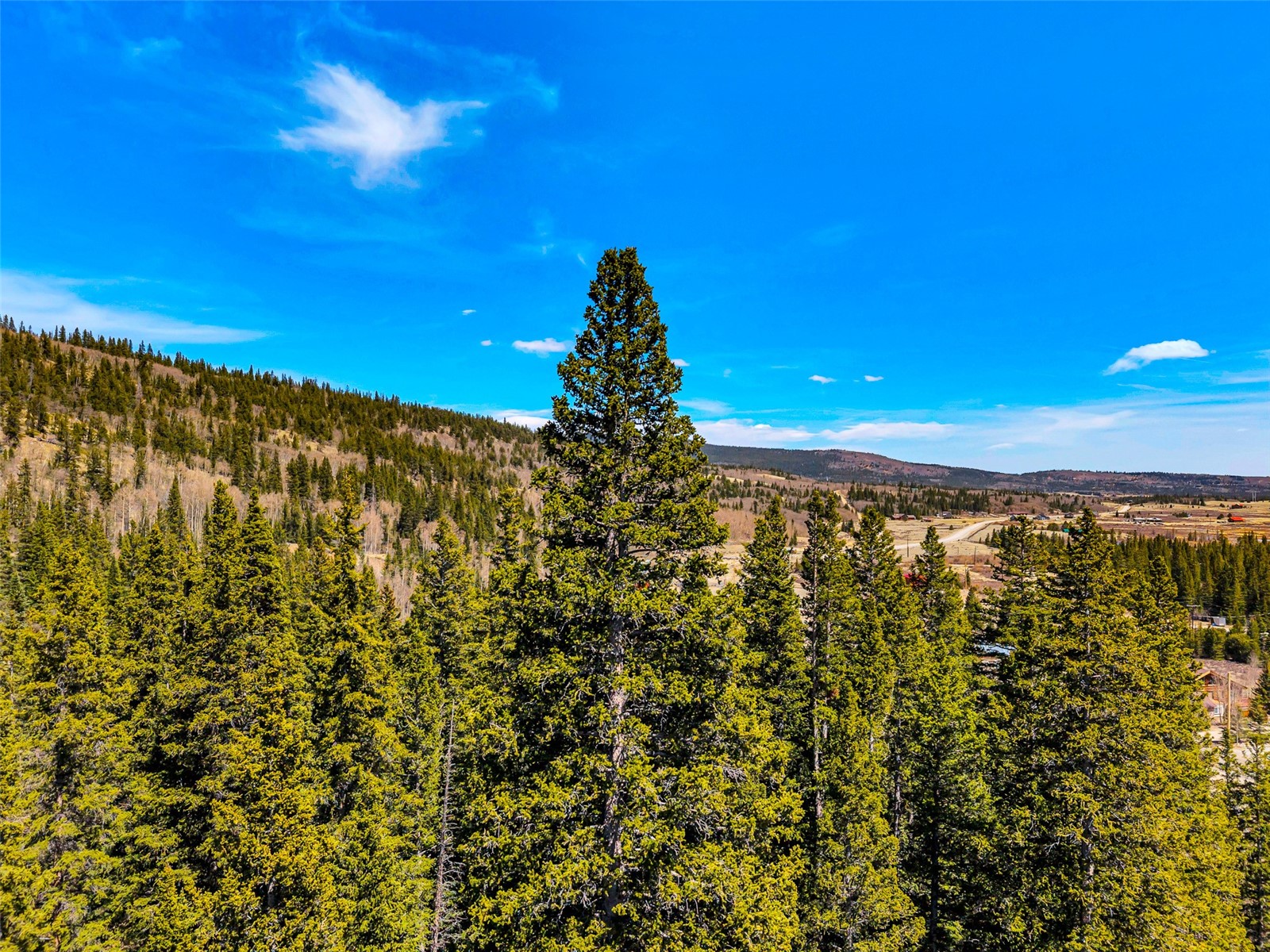 270 Co Road 667 Alma CO 80440