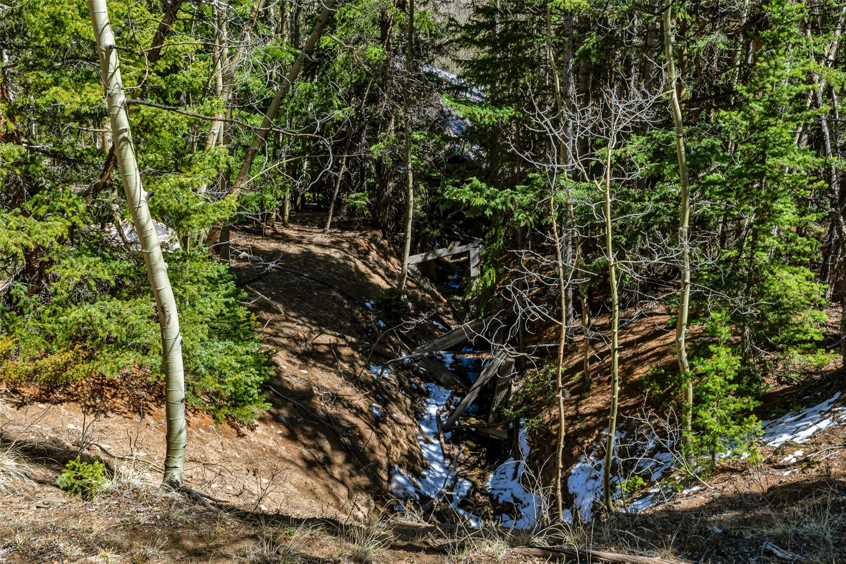 270 Co Road 667 Alma CO 80440