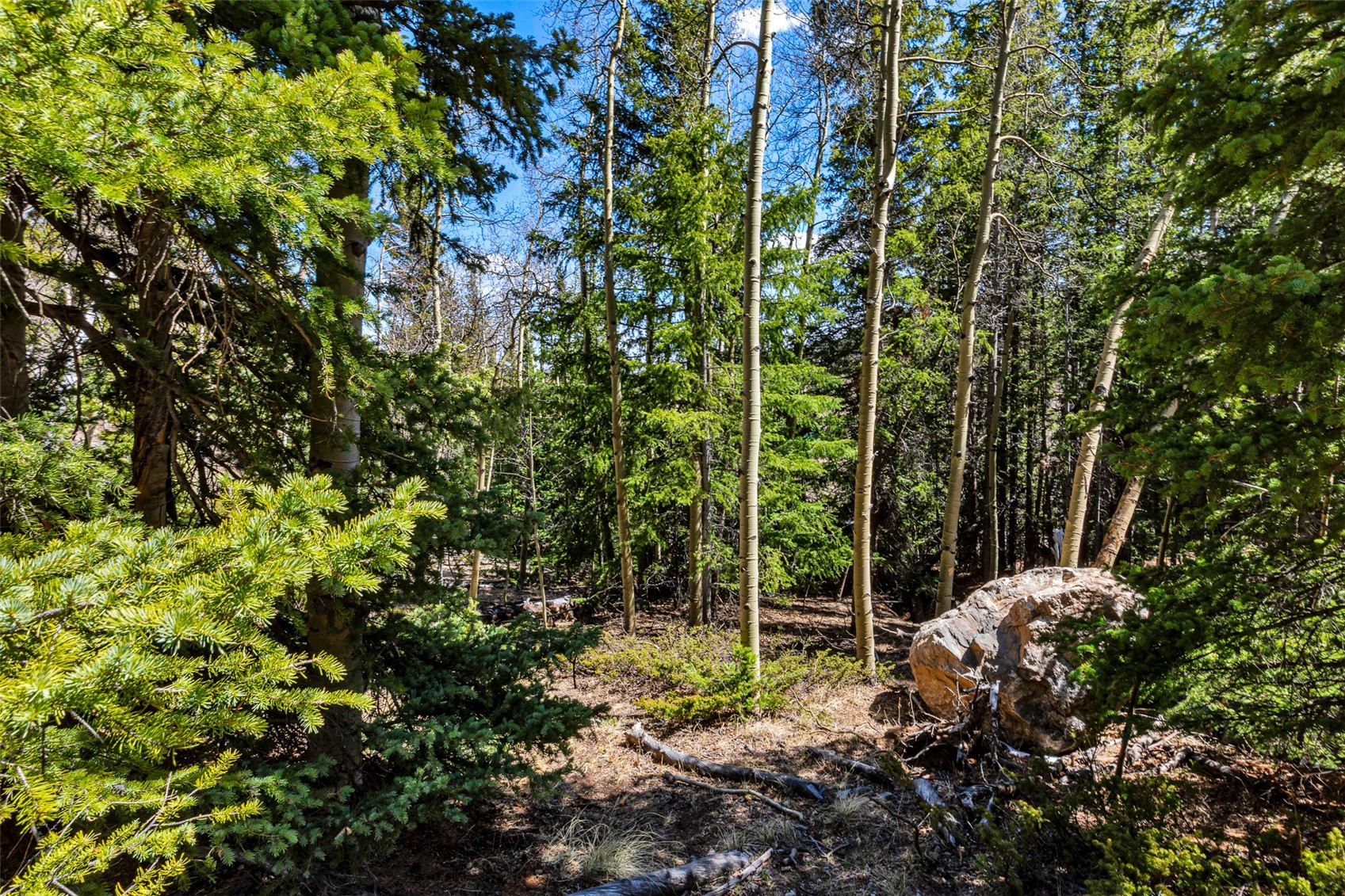 270 Co Road 667 Alma CO 80440