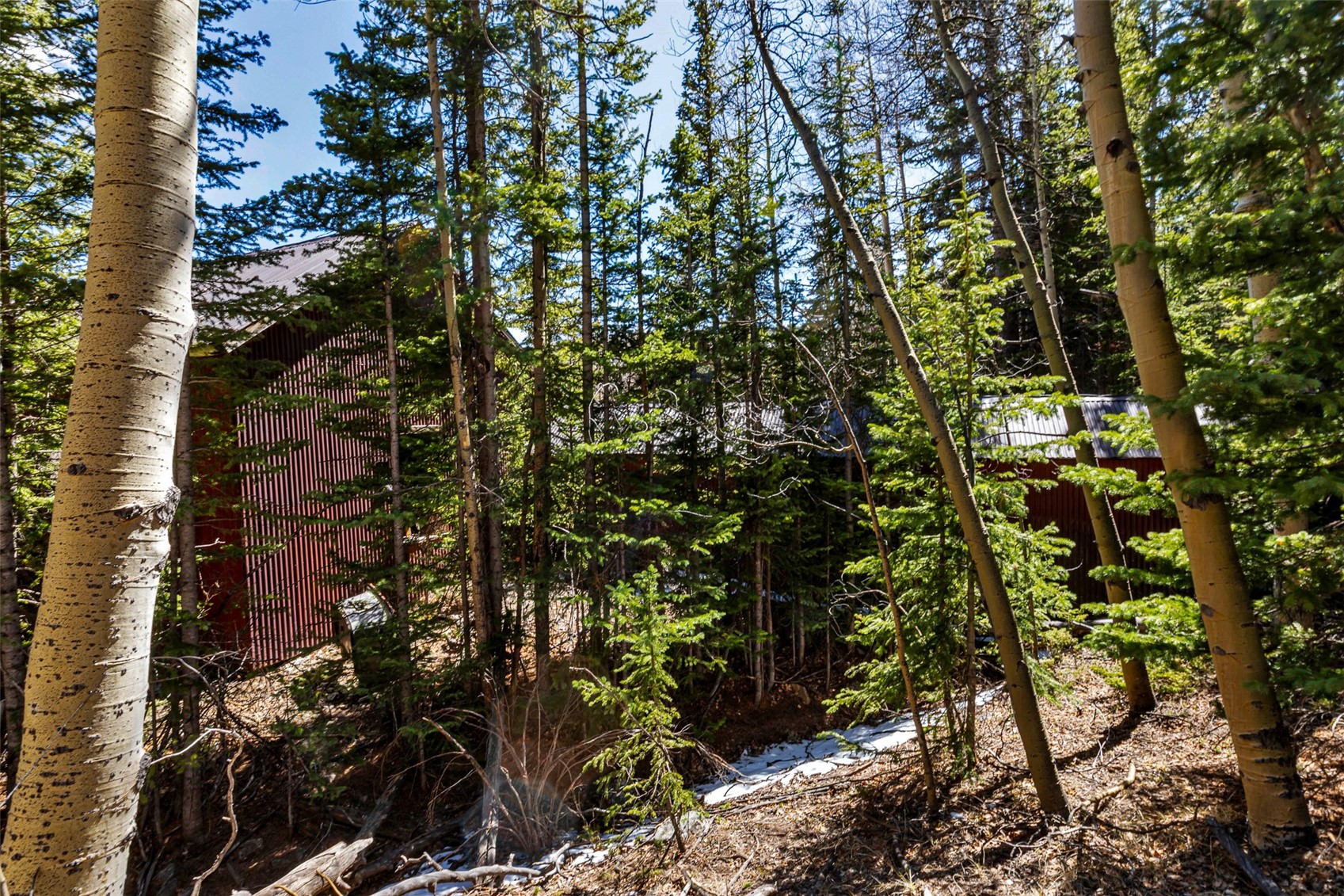 270 Co Road 667 Alma CO 80440