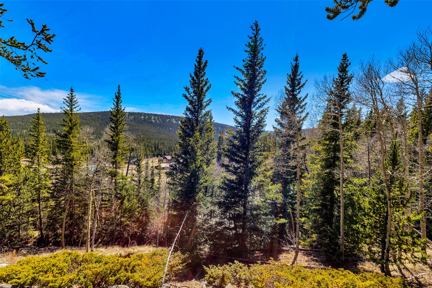 270 Co Road 667 Alma CO 80440
