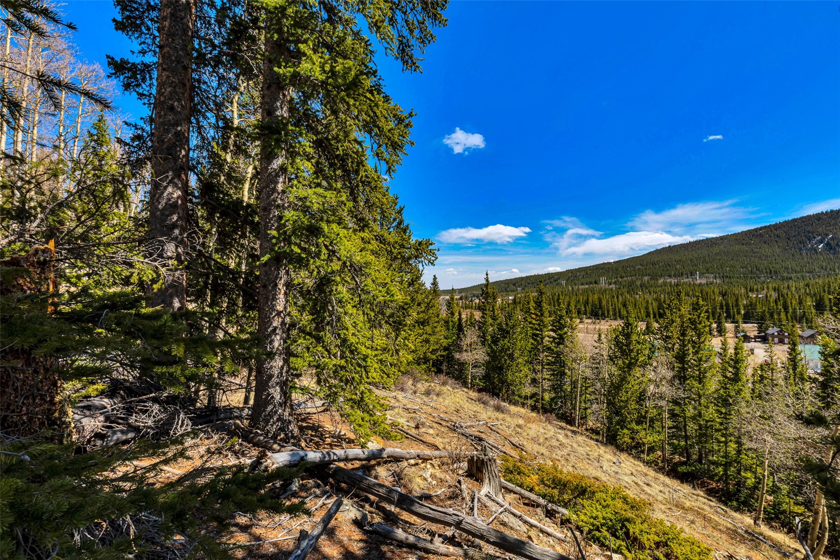270 Co Road 667 Alma CO 80440