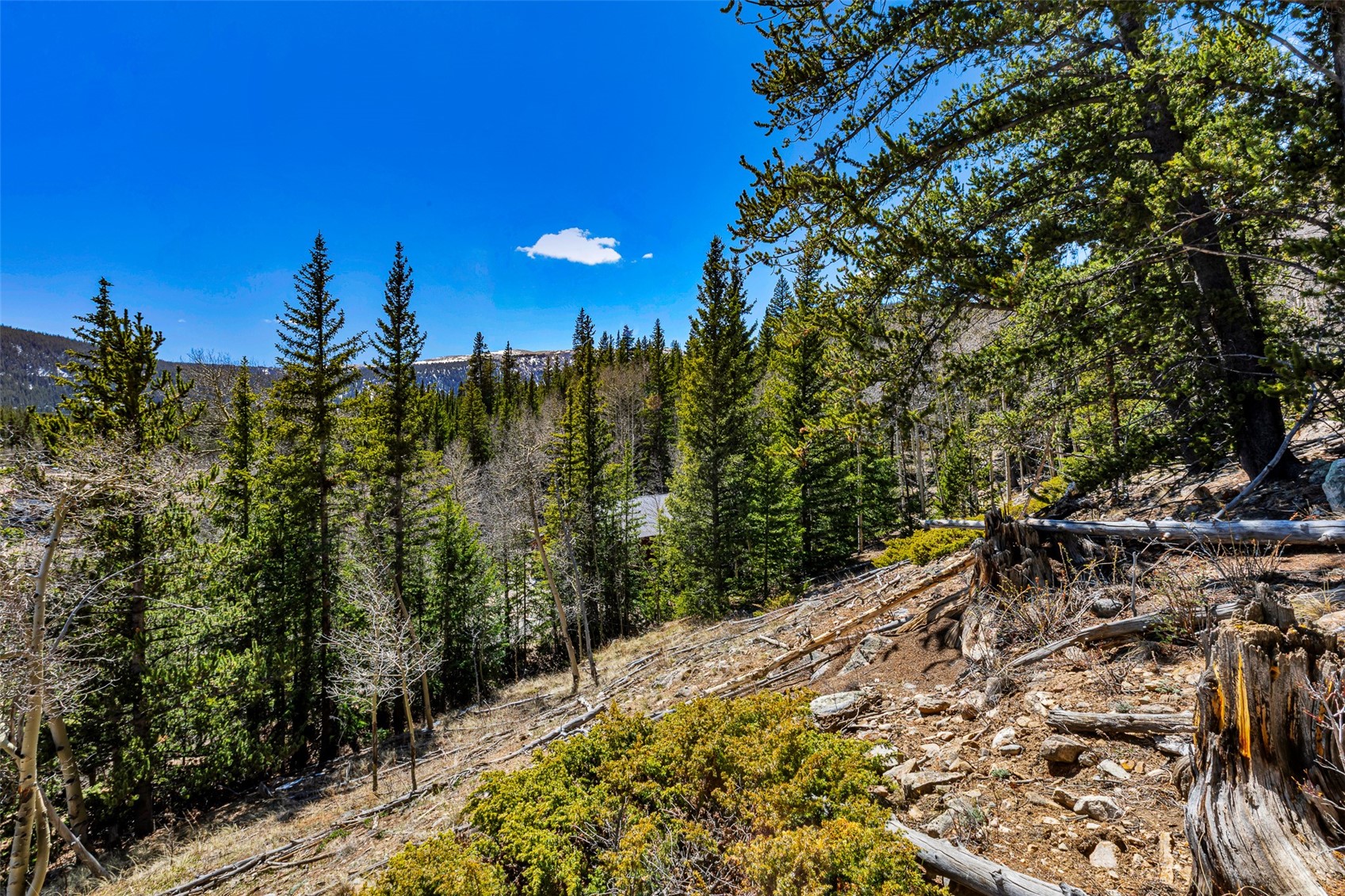 270 Co Road 667 Alma CO 80440