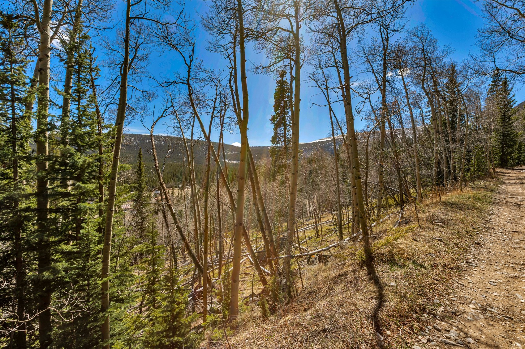 270 Co Road 667 Alma CO 80440