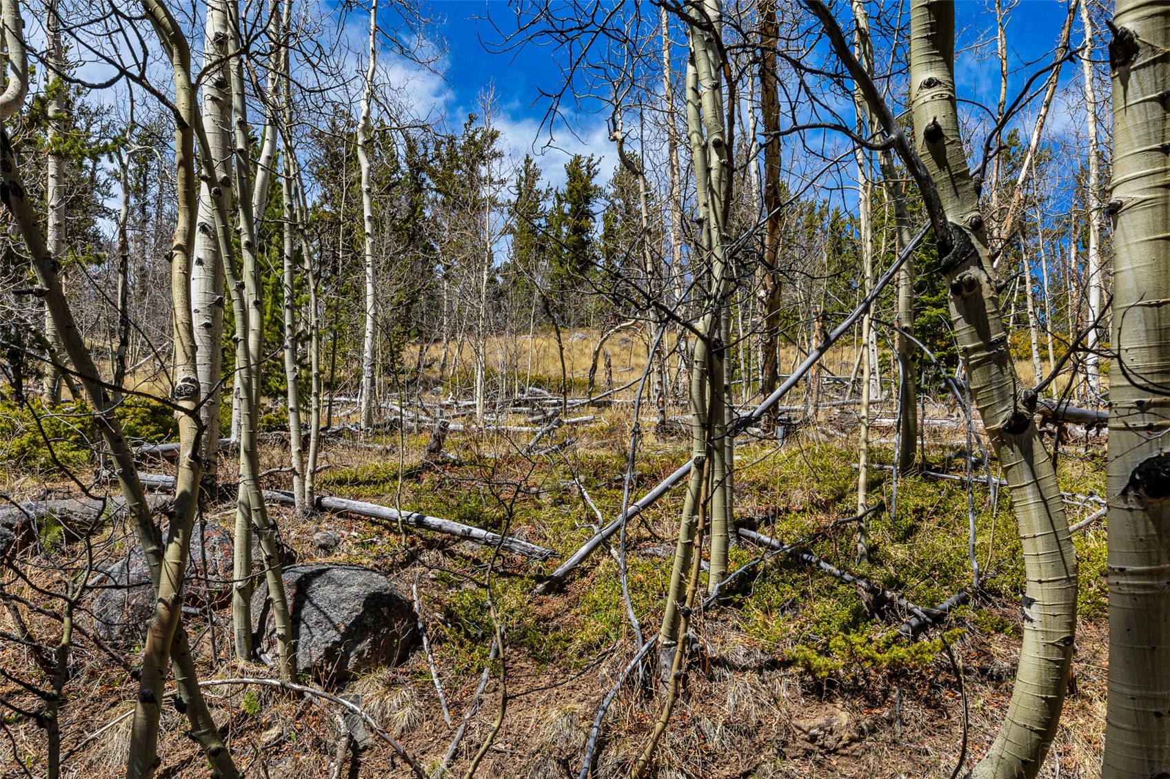 270 Co Road 667 Alma CO 80440