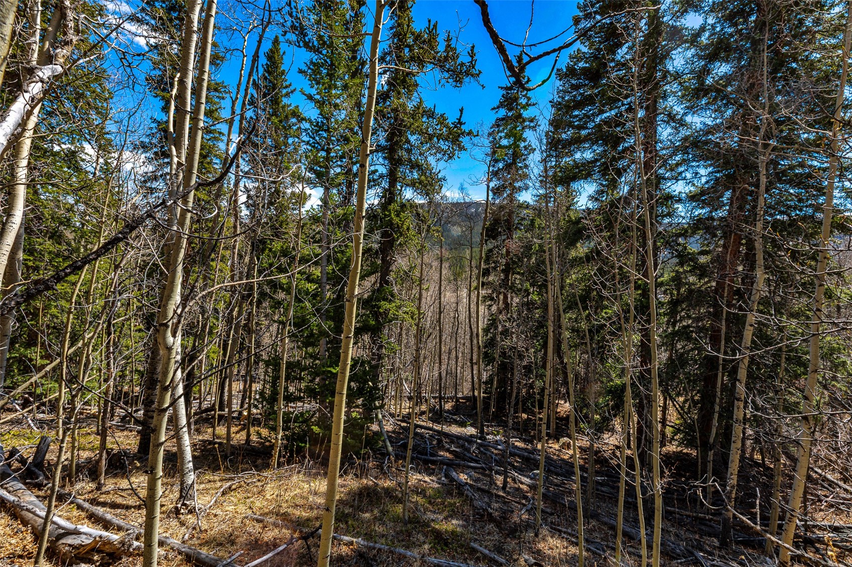 270 Co Road 667 Alma CO 80440
