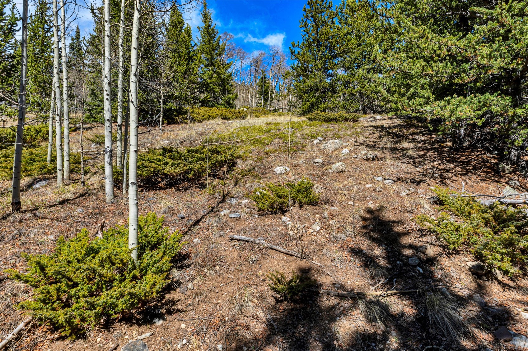270 Co Road 667 Alma CO 80440