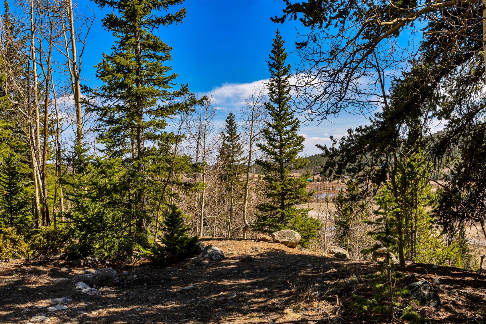 270 Co Road 667 Alma CO 80440