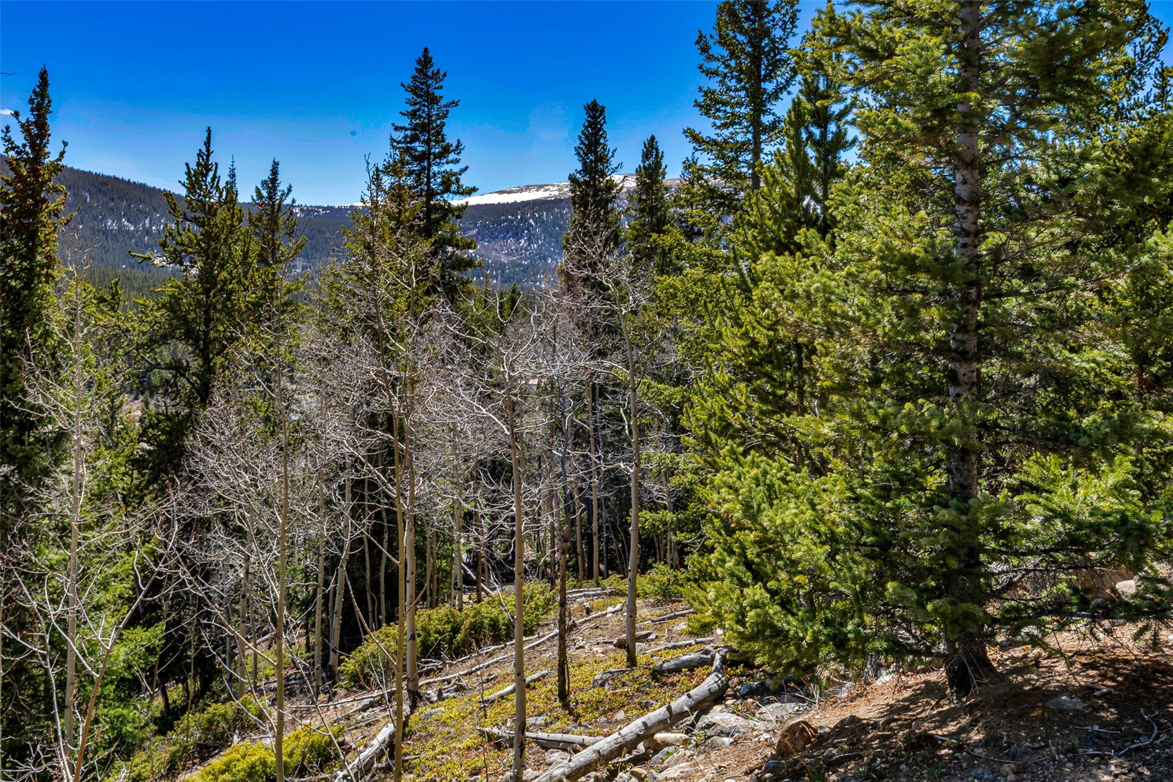 270 Co Road 667 Alma CO 80440