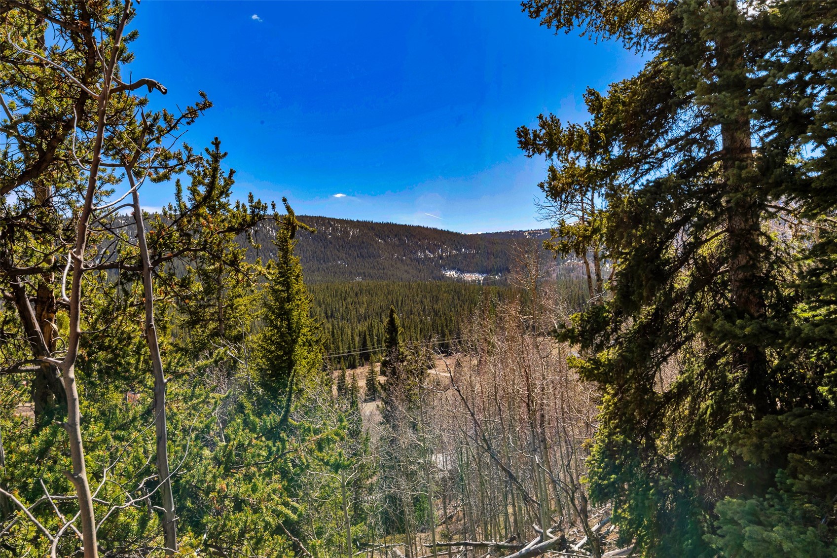 270 Co Road 667 Alma CO 80440
