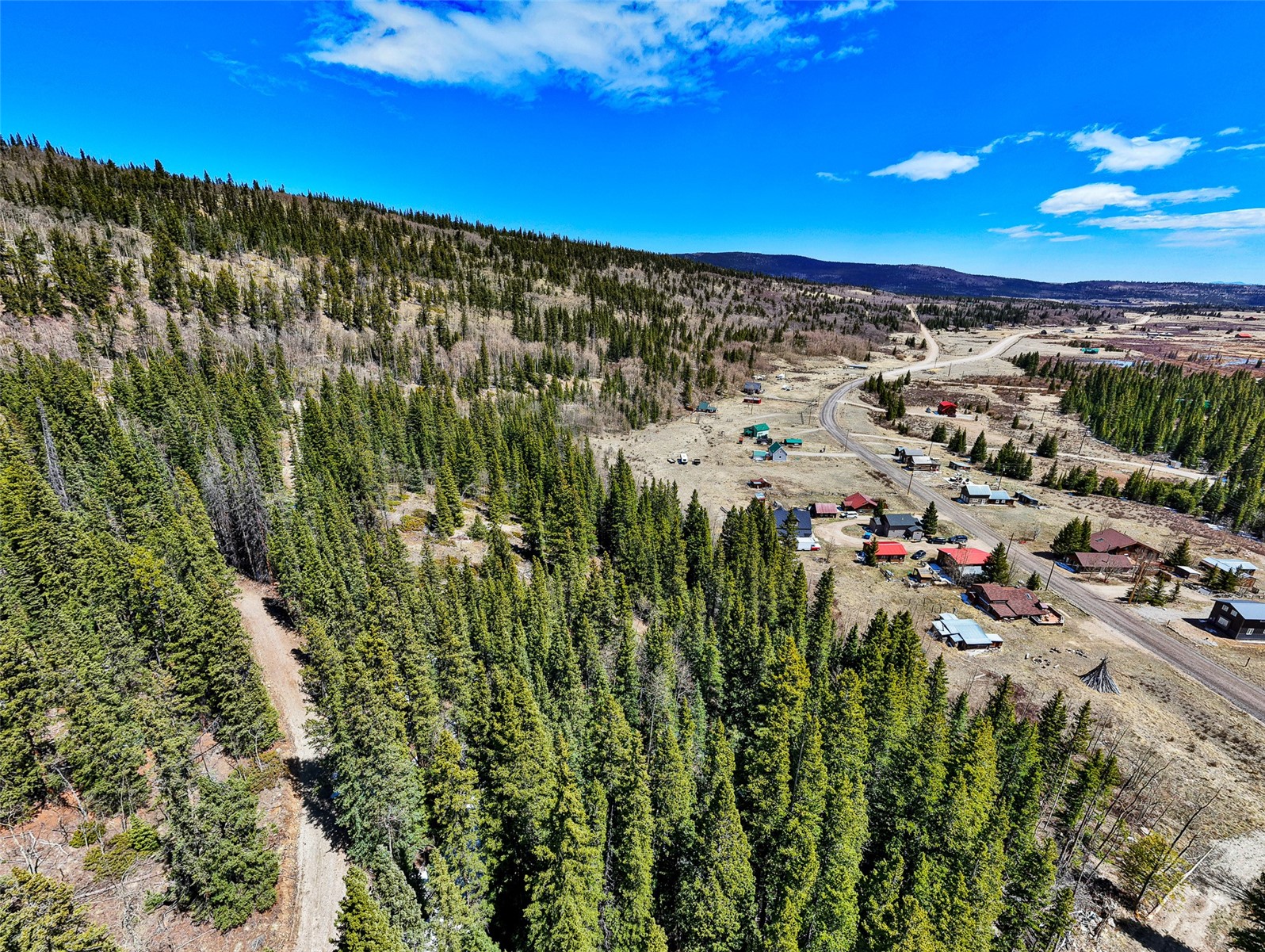 270 Co Road 667 Alma CO 80440