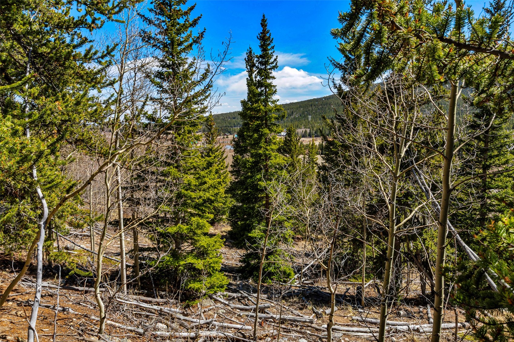 270 Co Road 667 Alma CO 80440