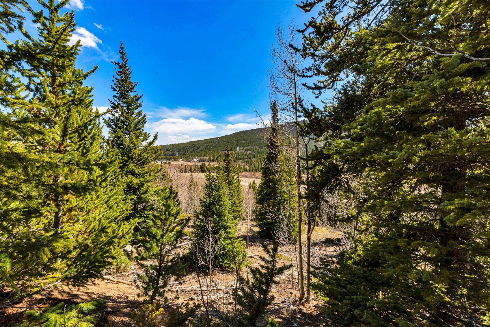 270 Co Road 667 Alma CO 80440
