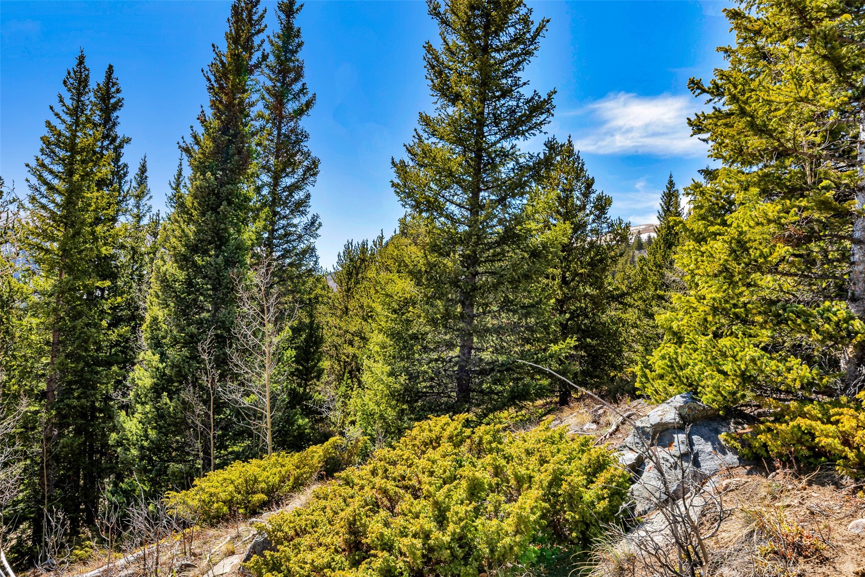 270 Co Road 667 Alma CO 80440