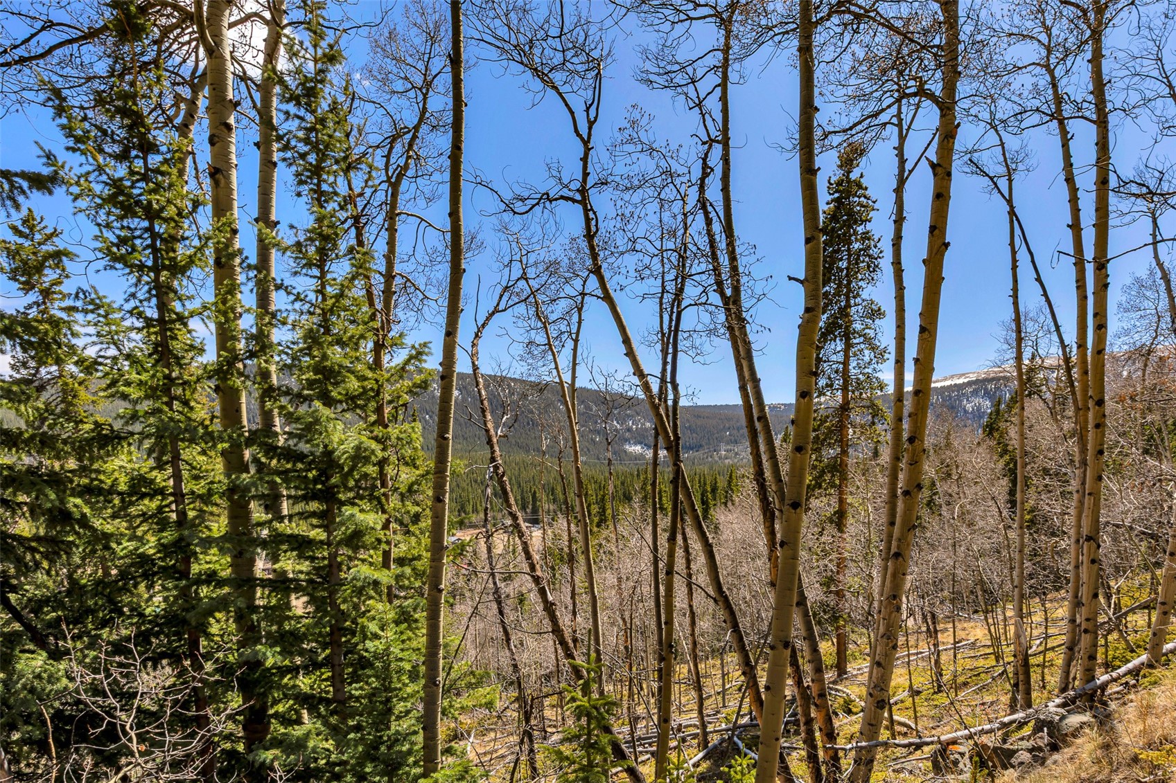 270 Co Road 667 Alma CO 80440