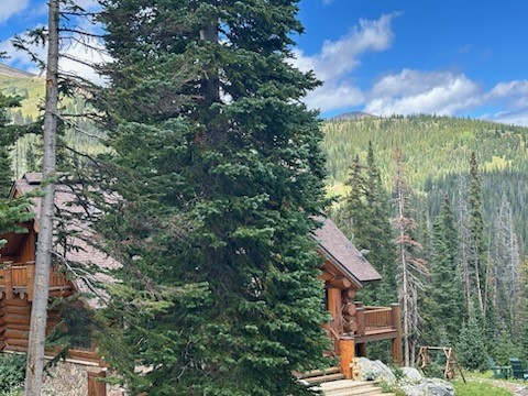 355 Quandary View Drive Breckenridge CO 80424