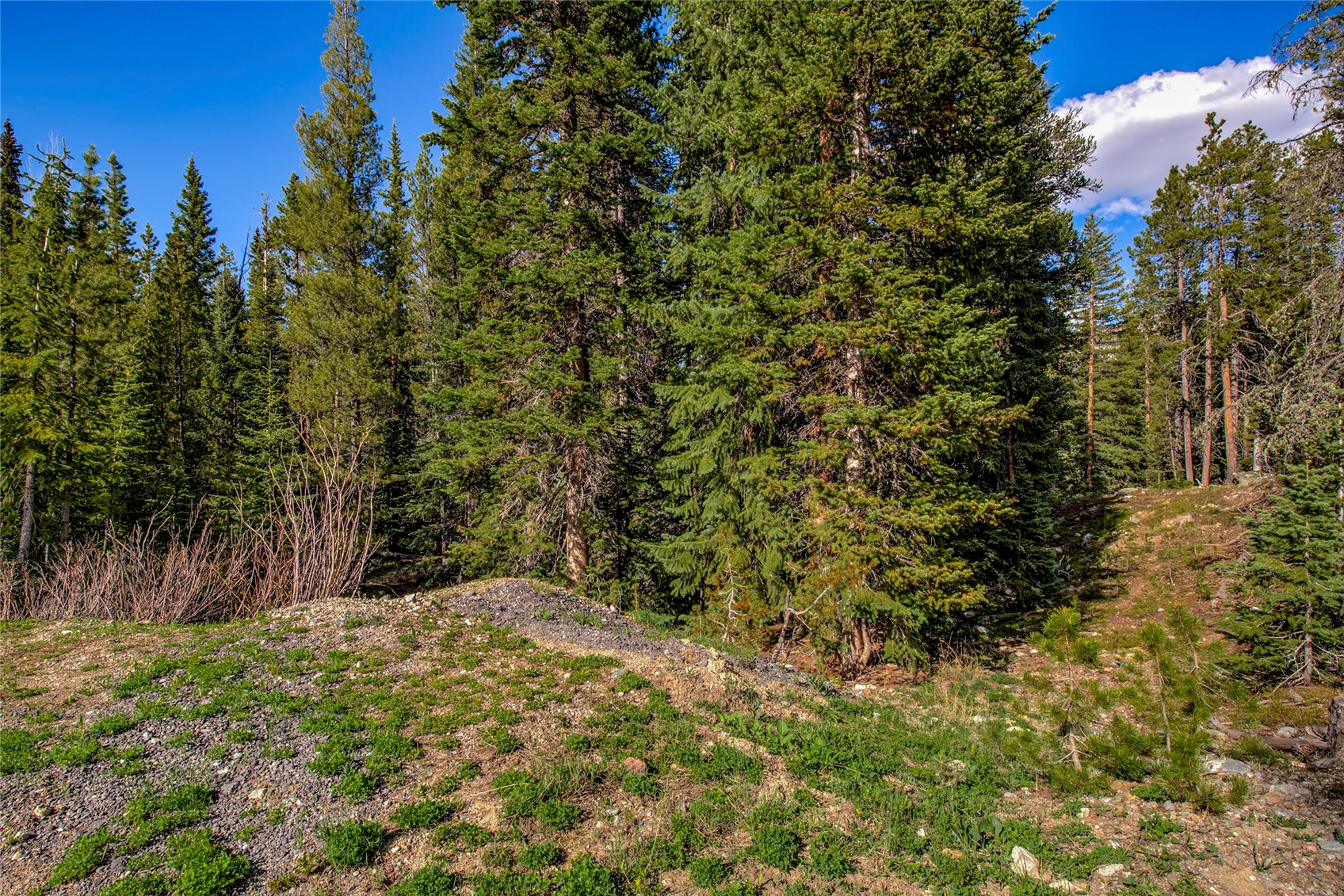 163 Lakeview Drive Breckenridge CO 80424
