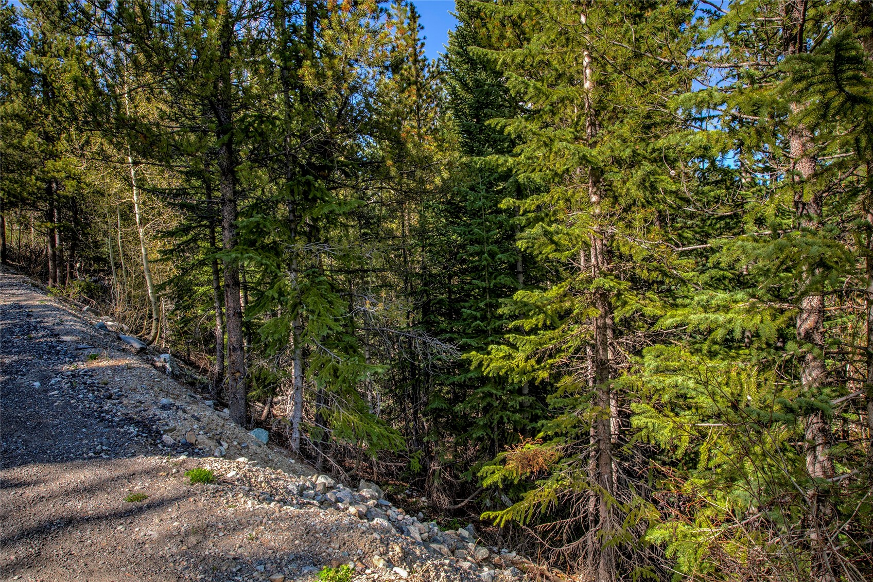 163 Lakeview Drive Breckenridge CO 80424