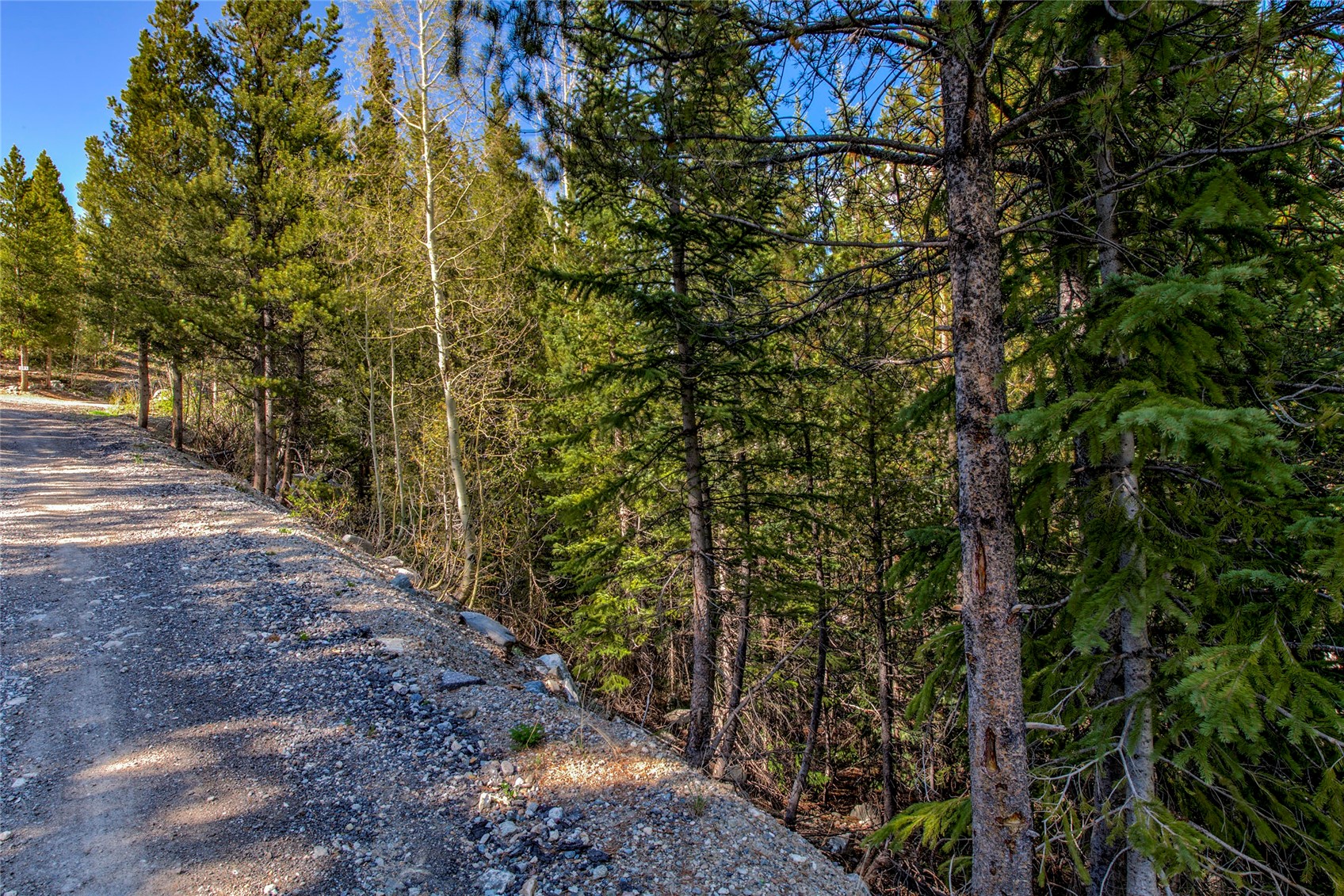 163 Lakeview Drive Breckenridge CO 80424