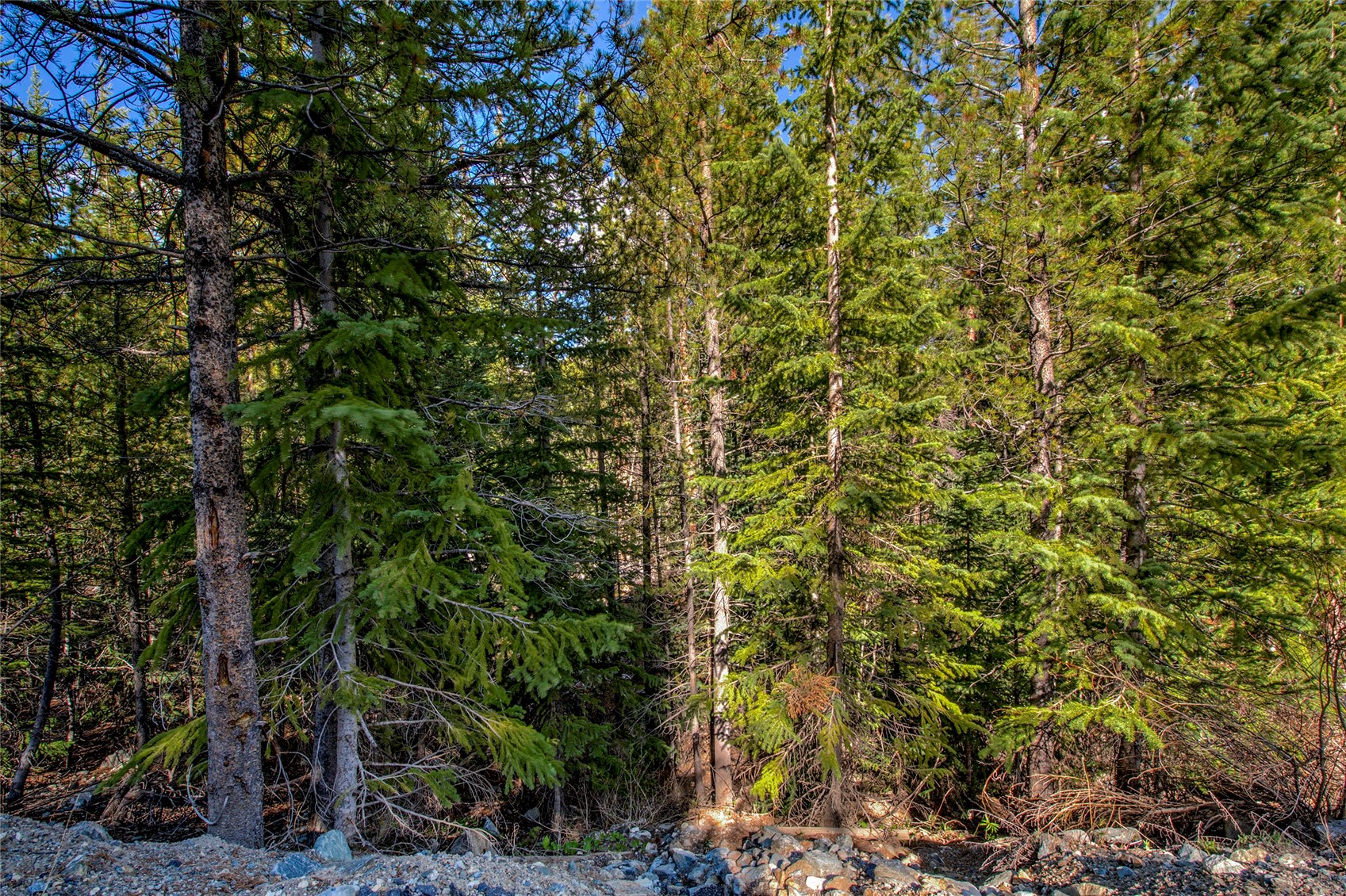 163 Lakeview Drive Breckenridge CO 80424