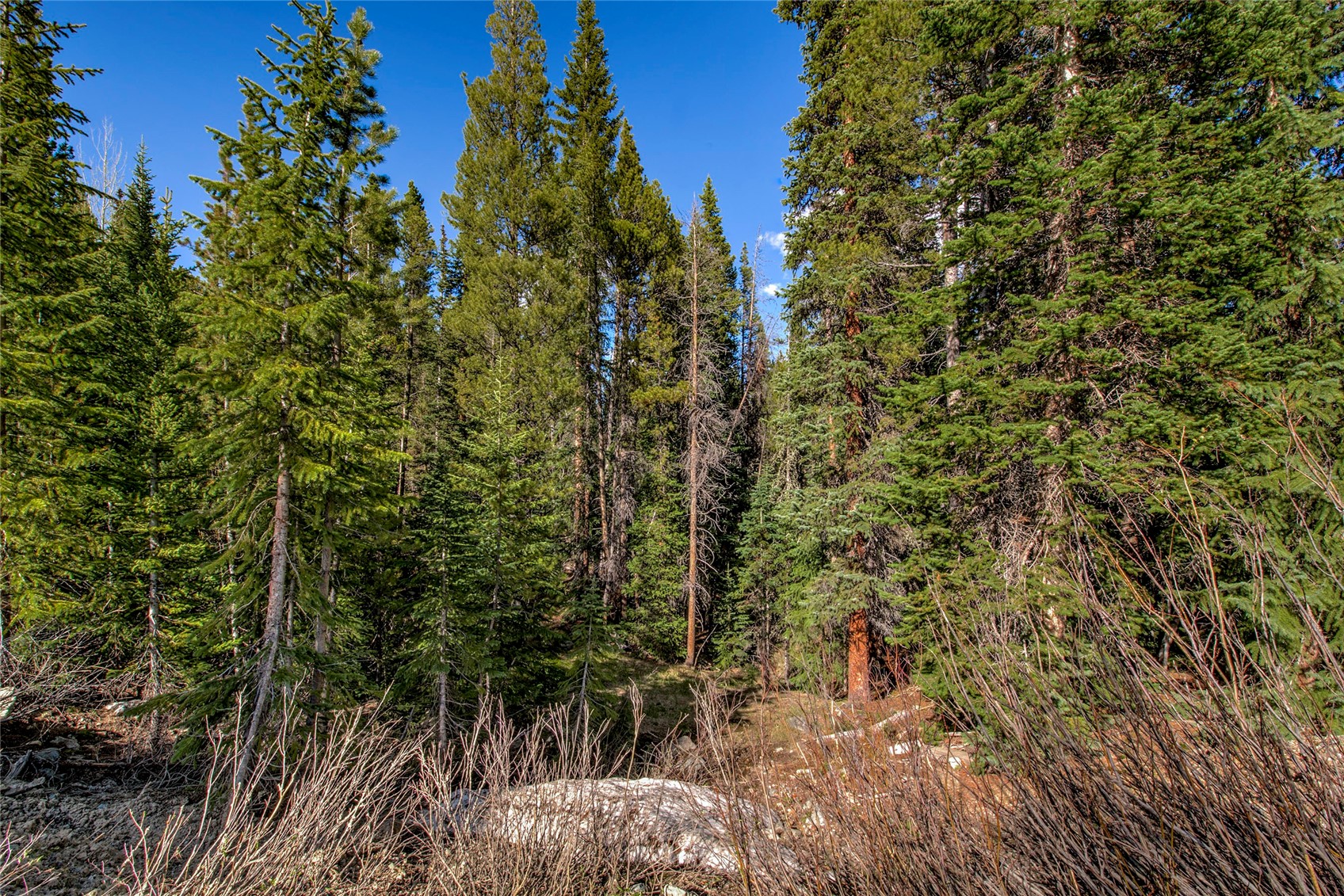 163 Lakeview Drive Breckenridge CO 80424