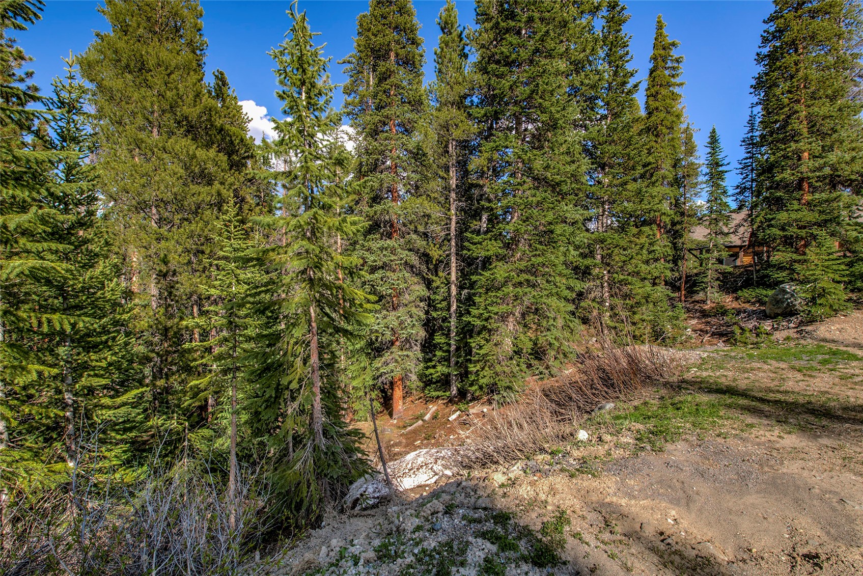 163 Lakeview Drive Breckenridge CO 80424