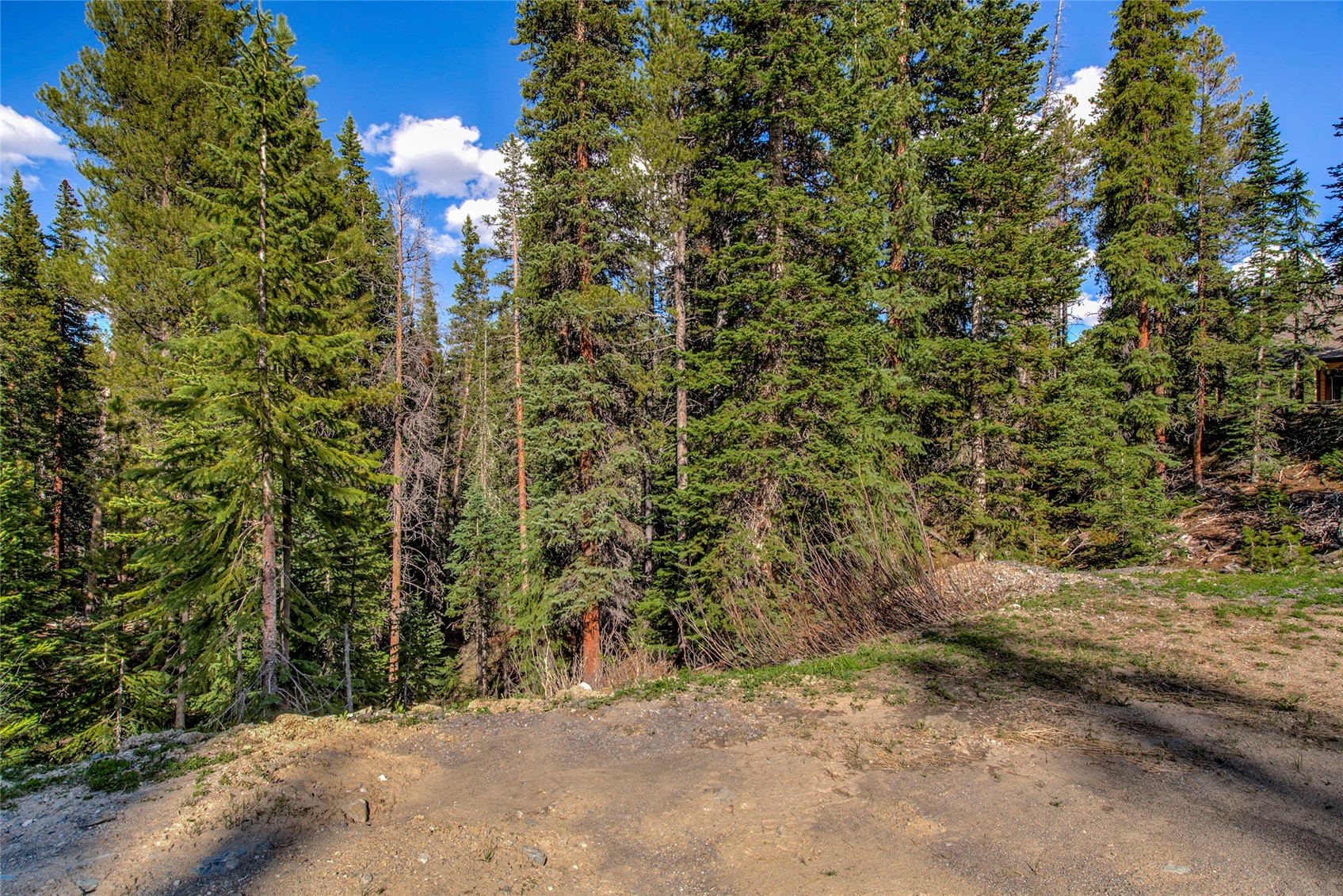 163 Lakeview Drive Breckenridge CO 80424