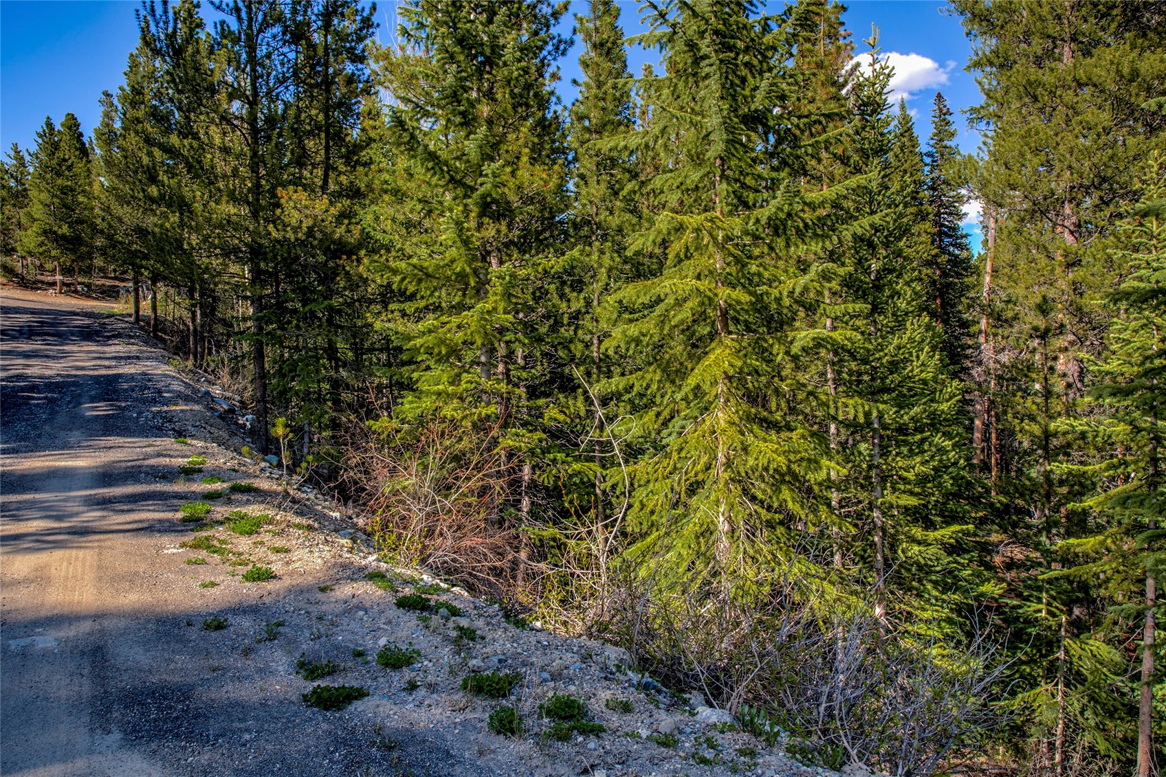 163 Lakeview Drive Breckenridge CO 80424