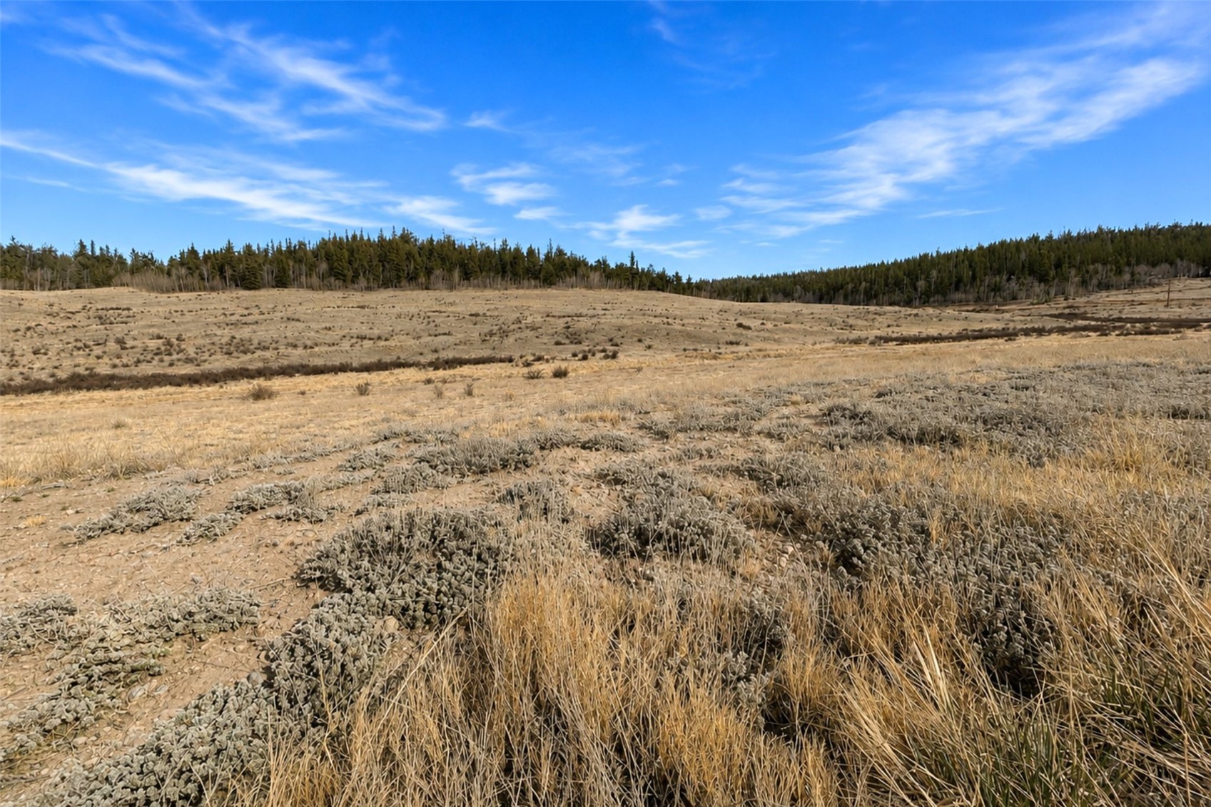 2384 Arrowhead Drive Como CO 80456