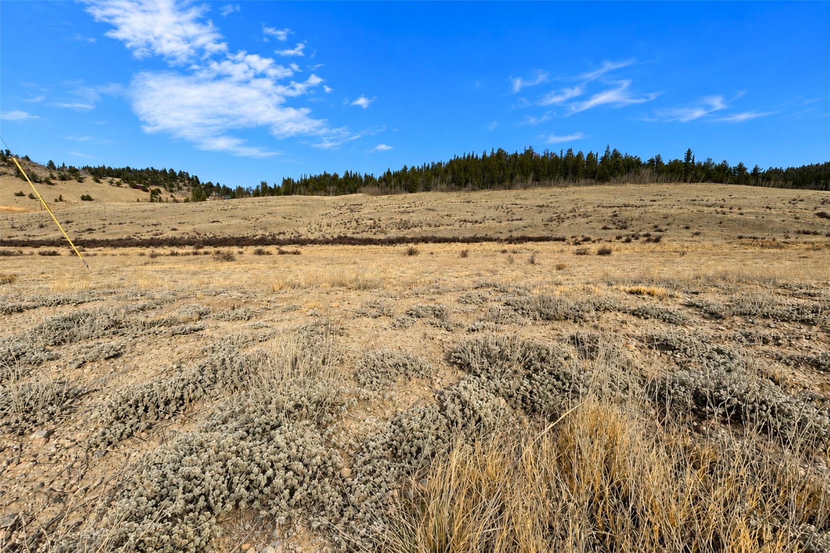 2384 Arrowhead Drive Como CO 80456