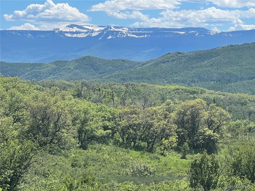 27165 Sundance Trail Steamboat Springs CO 80477