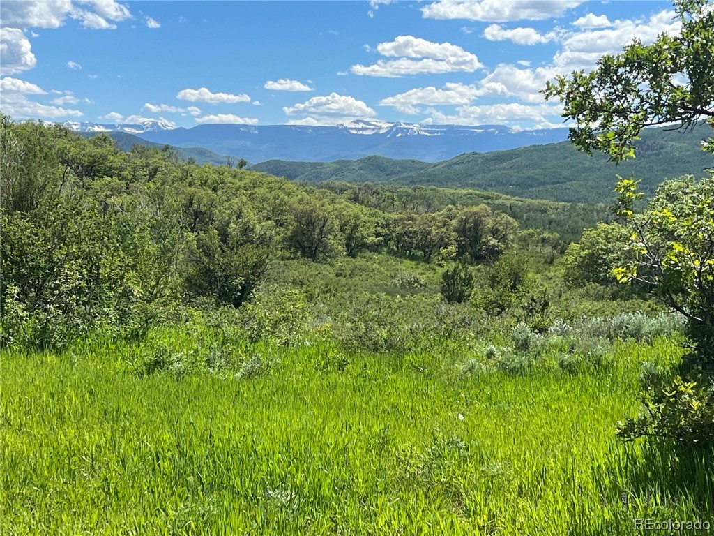 27165 Sundance Trail Steamboat Springs CO 80477