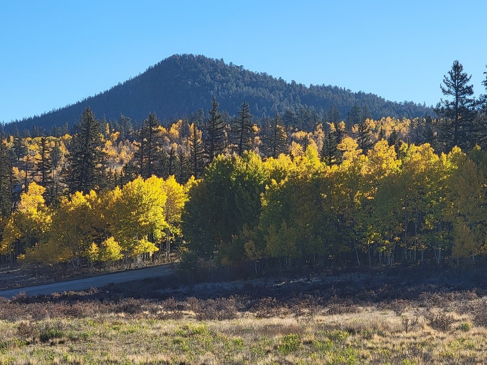 431 Arrowhead Drive Como CO 80432