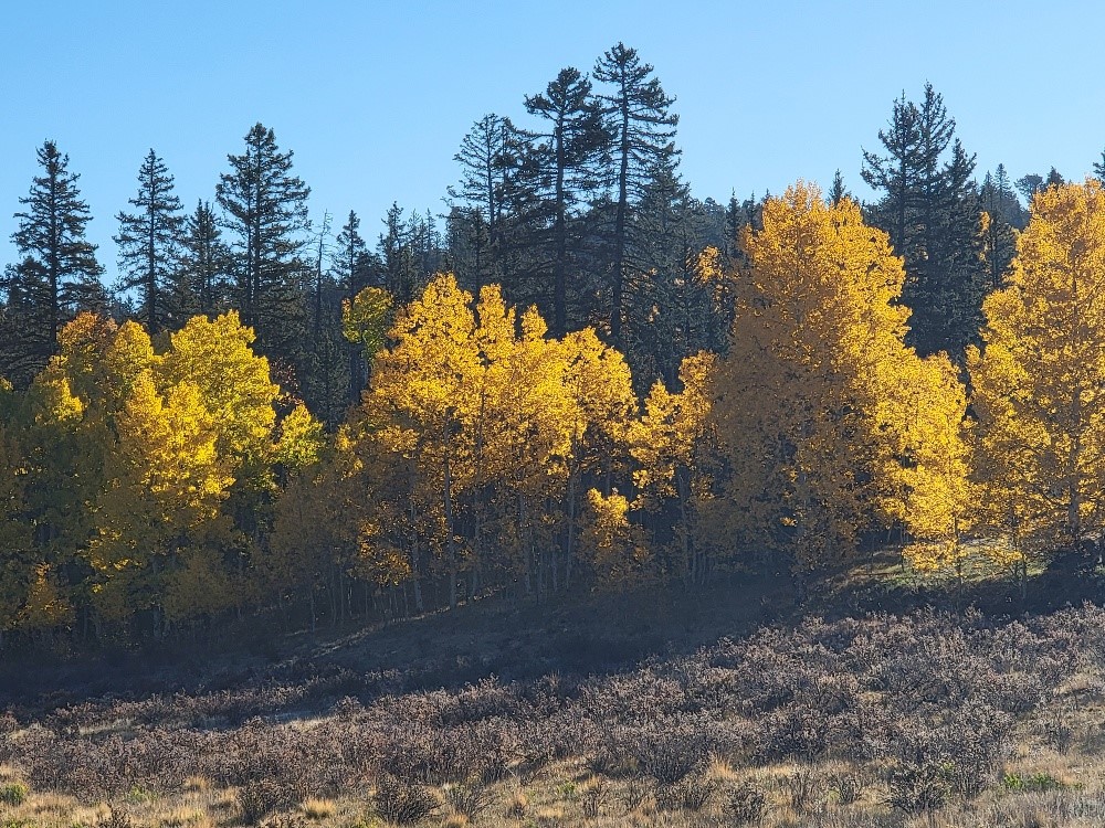 431 Arrowhead Drive Como CO 80432