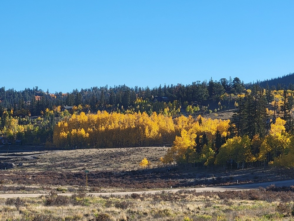 431 Arrowhead Drive Como CO 80432