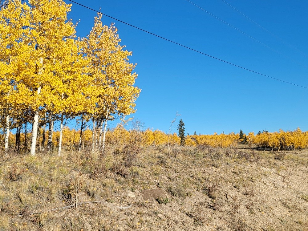 431 Arrowhead Drive Como CO 80432