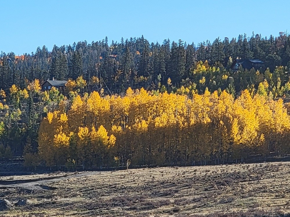 431 Arrowhead Drive Como CO 80432