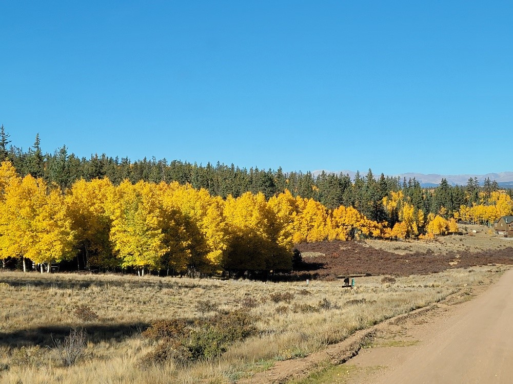 431 Arrowhead Drive Como CO 80432