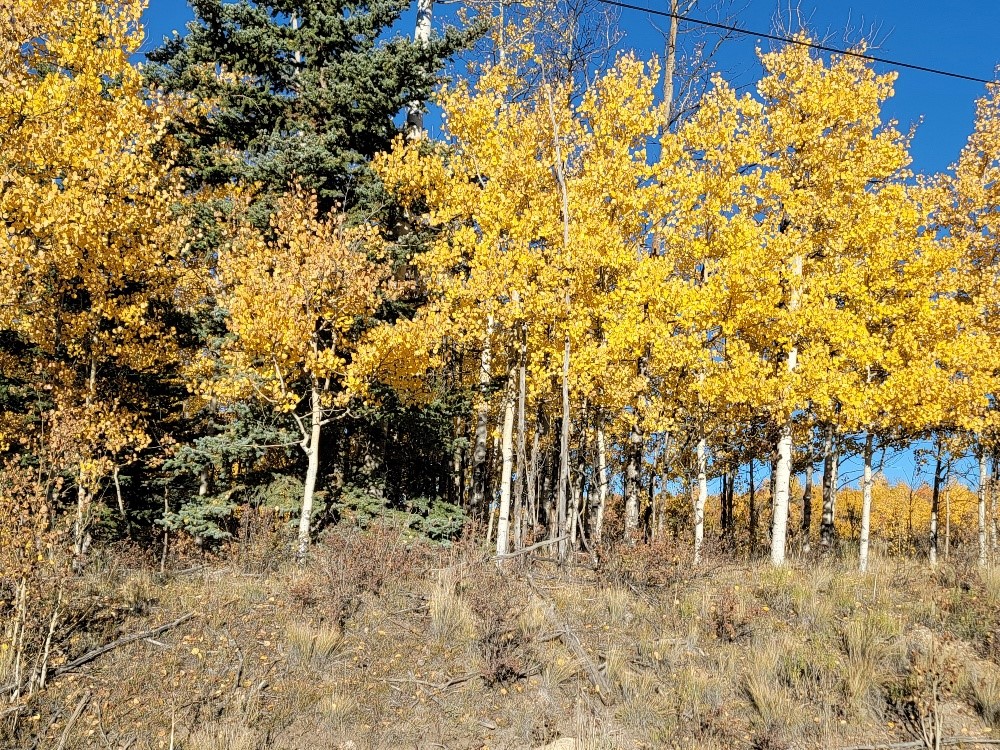 431 Arrowhead Drive Como CO 80432
