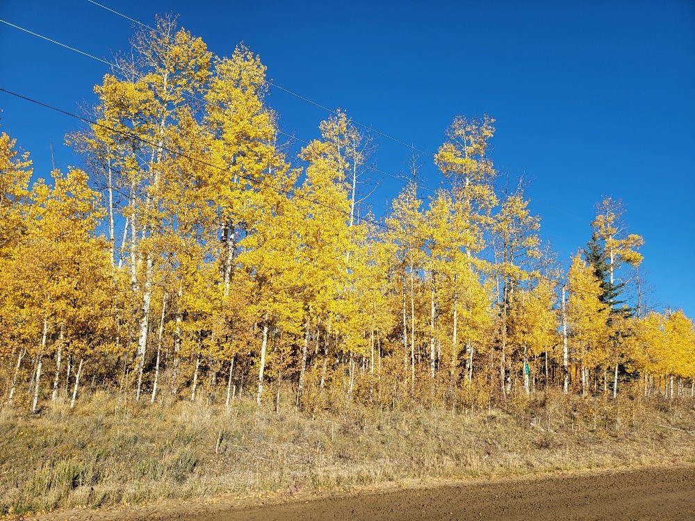 431 Arrowhead Drive Como CO 80432