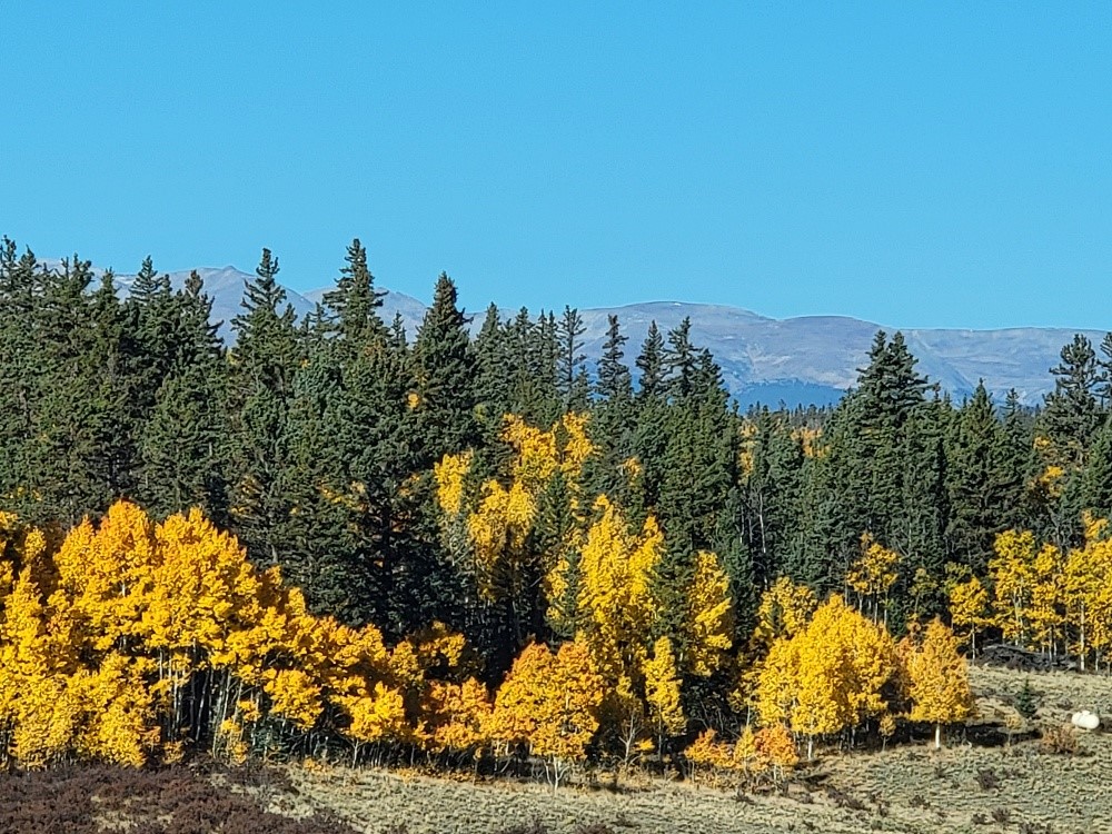 431 Arrowhead Drive Como CO 80432