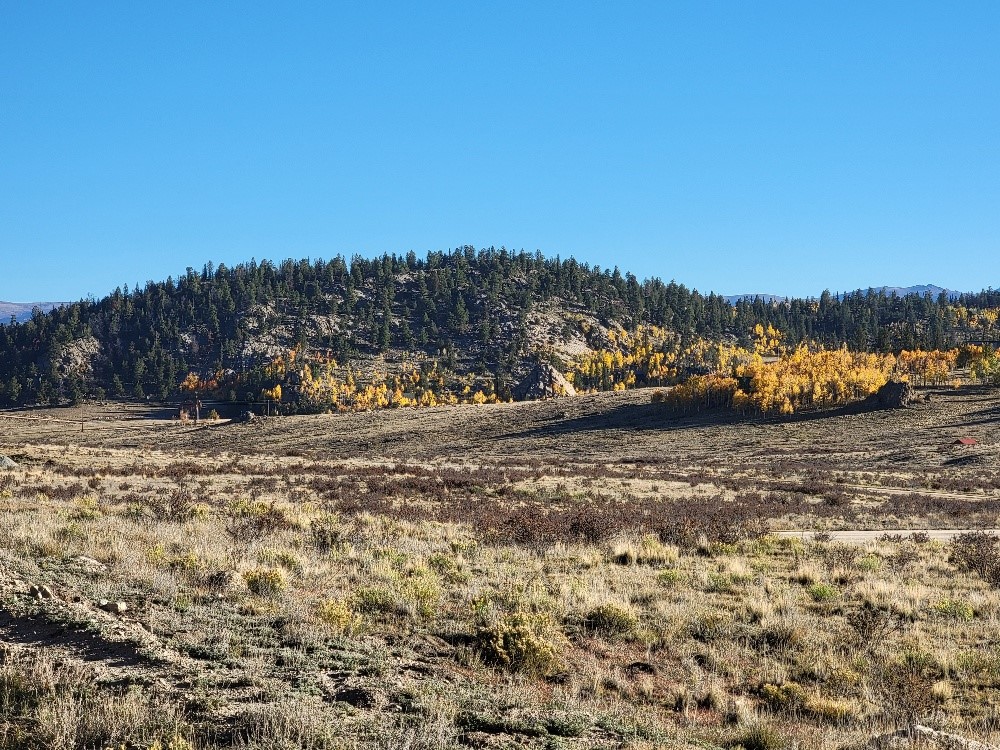 431 Arrowhead Drive Como CO 80432