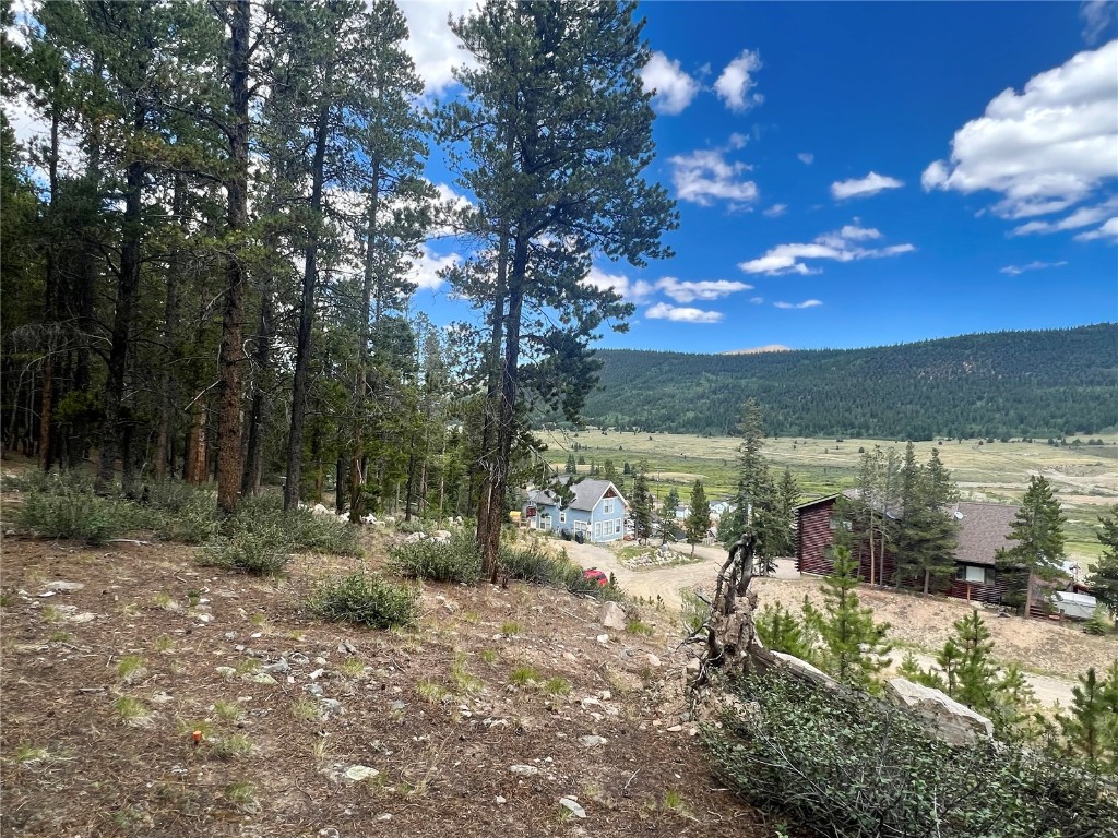 165 Spruce Street Alma CO 80420
