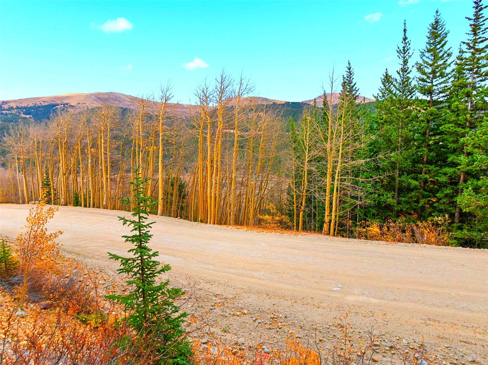 Tract B Roberts Road Alma CO 80420