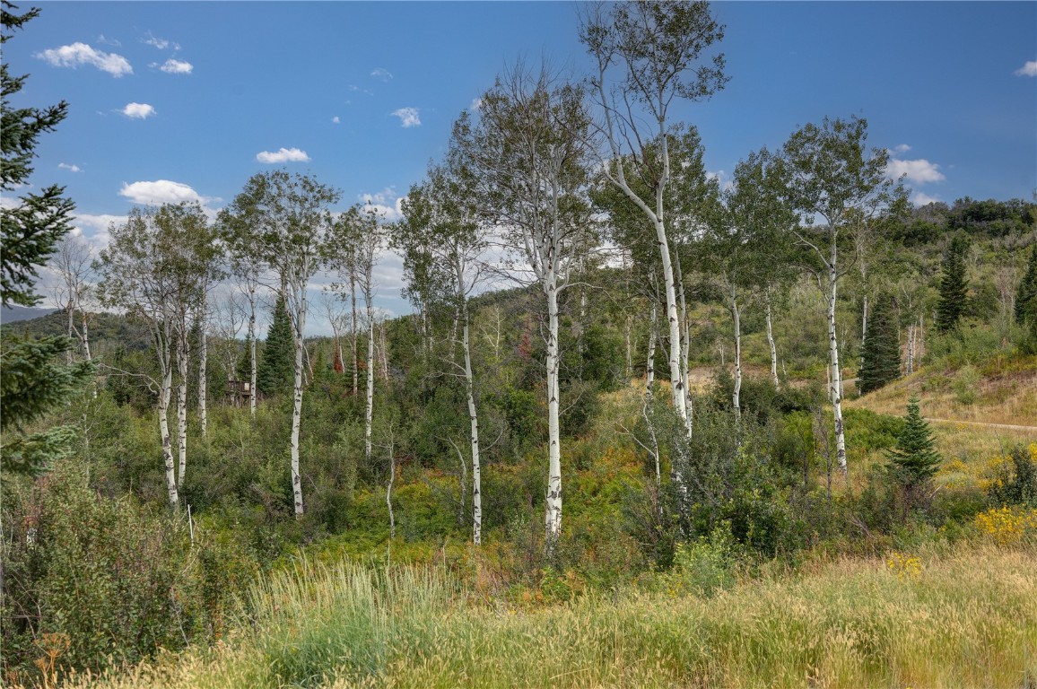 34905 Rockledge Road Steamboat Springs CO 80487
