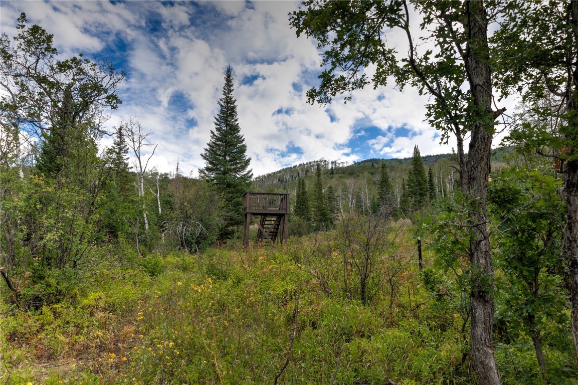 34905 Rockledge Road Steamboat Springs CO 80487