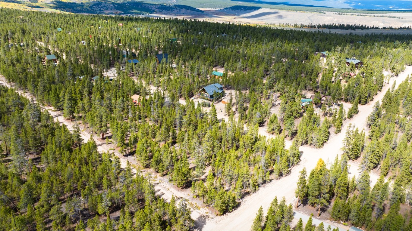247 Juniper Drive Twin Lakes CO 81251