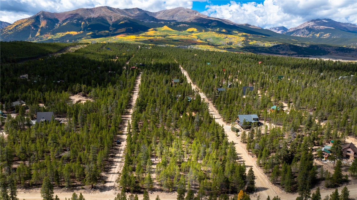 247 Juniper Drive Twin Lakes CO 81251