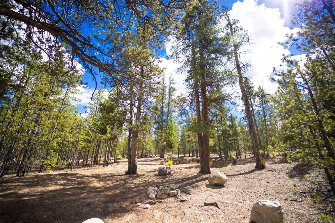 247 Juniper Drive Twin Lakes CO 81251