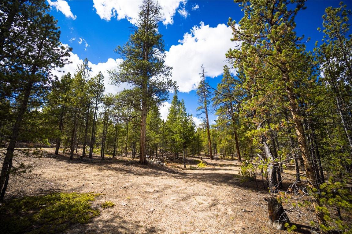 247 Juniper Drive Twin Lakes CO 81251